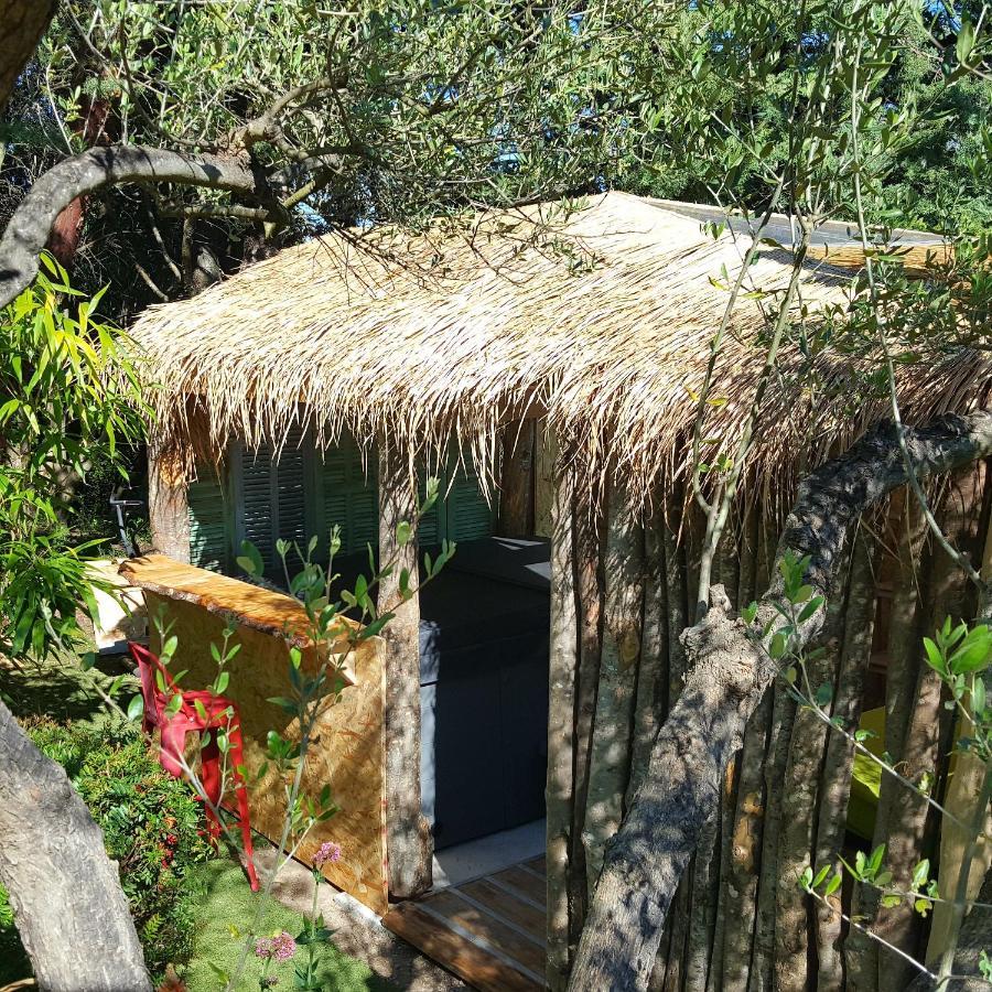 Logement De Charme Avec Piscine Et Jacuzzi Carnoules  Εξωτερικό φωτογραφία