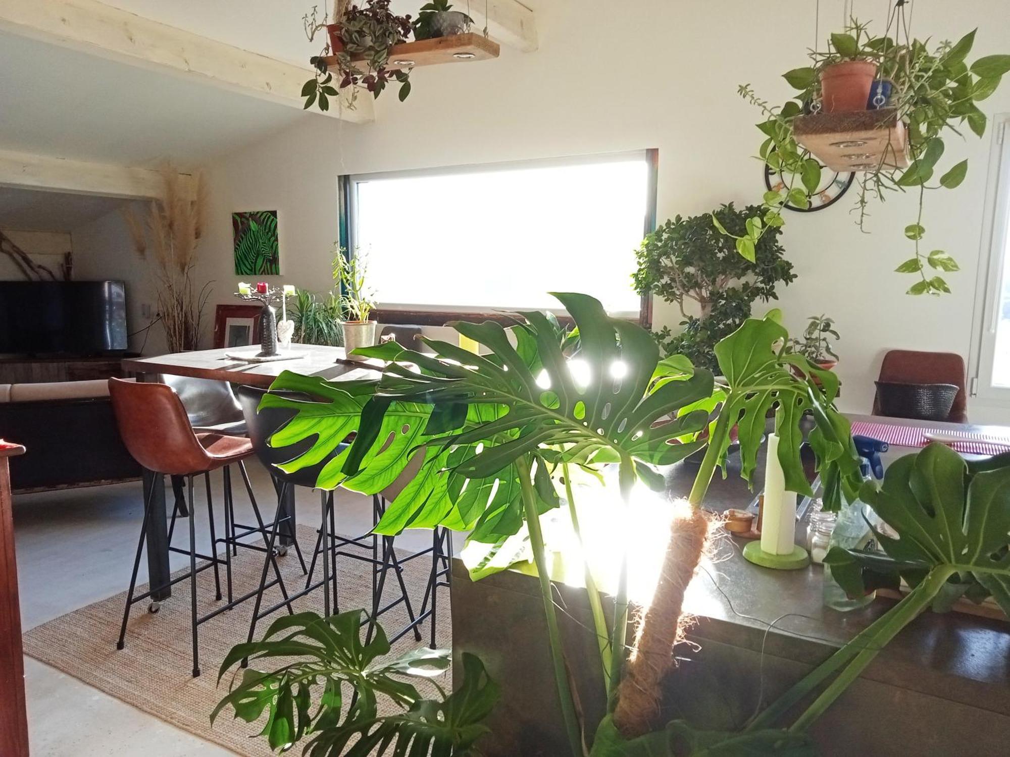 Logement De Charme Avec Piscine Et Jacuzzi Carnoules  Εξωτερικό φωτογραφία